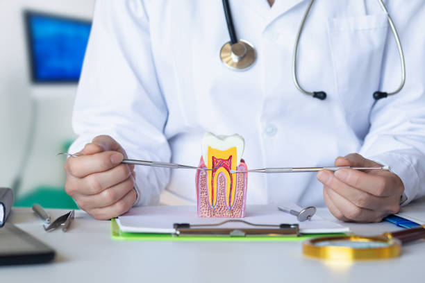 Best Emergency Root Canal Treatment in Friona, TX